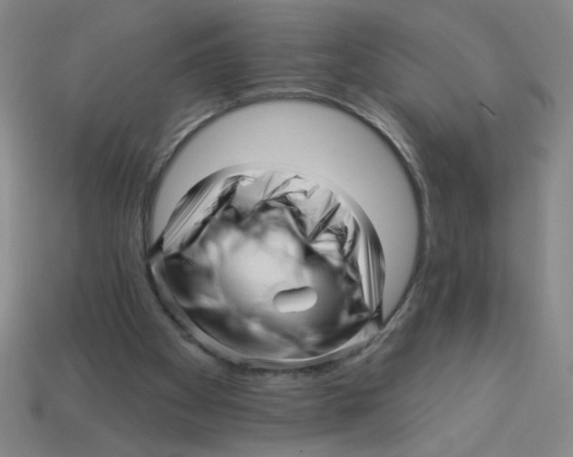 X0000113530105200910161358