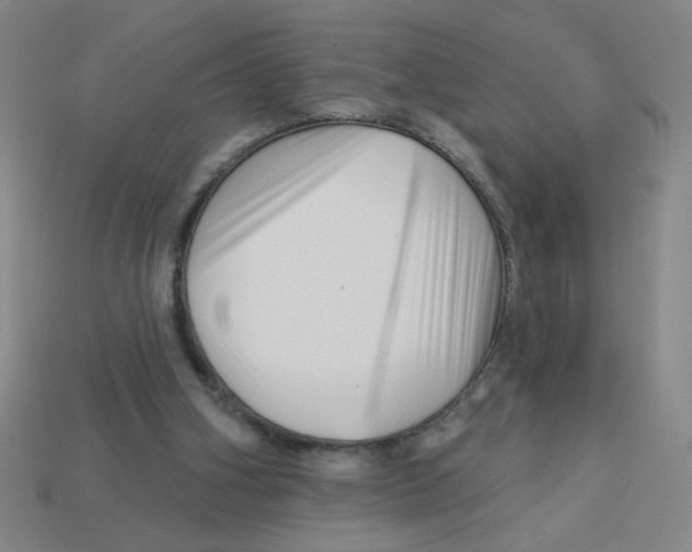 X0000113530106200910161358