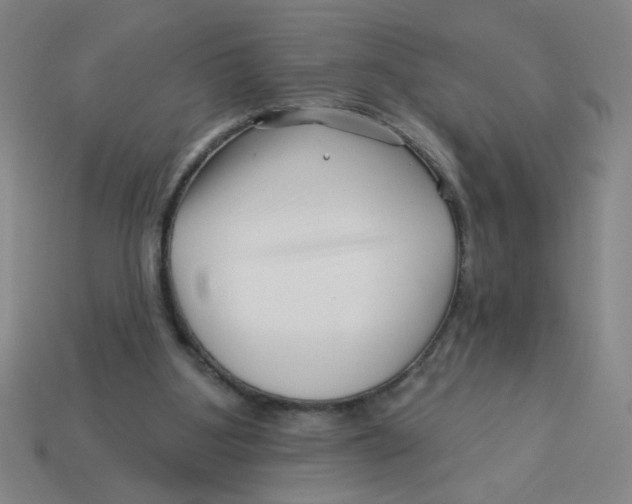 X0000113530107200910161358