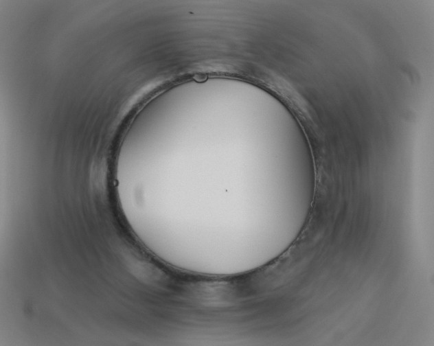 X0000113530108200910161358