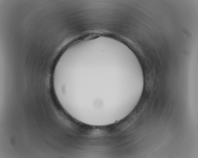 X0000113530111200910161358