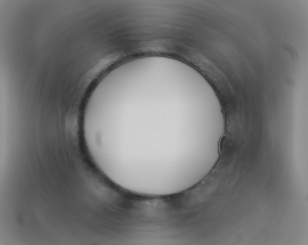 X0000113530112200910161358