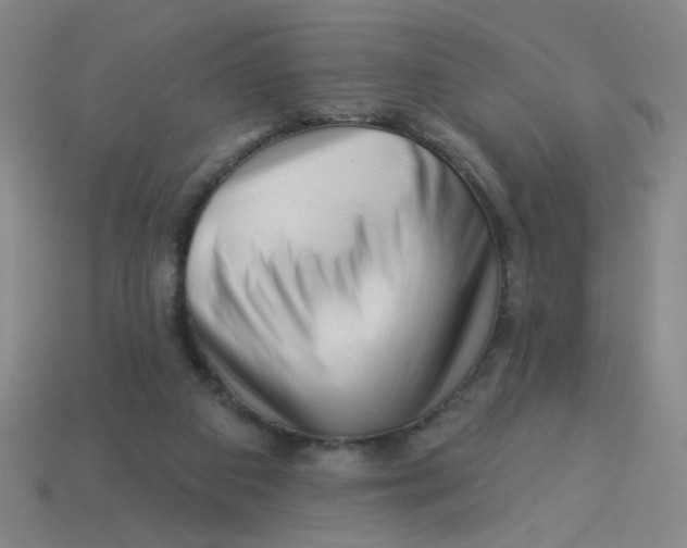 X0000113530113200910161358