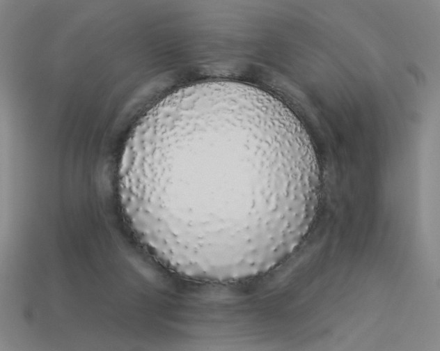 X0000113530114200910161358