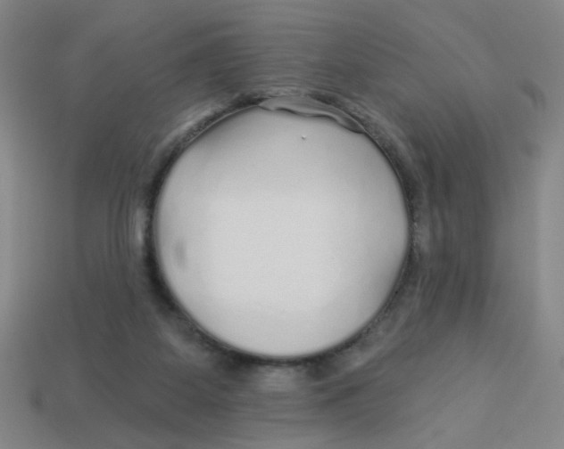 X0000113530115200910161358