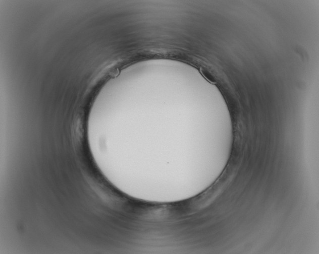 X0000113530116200910161358