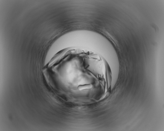 X0000113530117200910161358