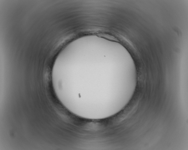 X0000113530119200910161358