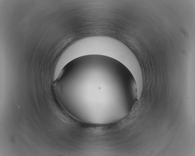 X0000113530120200910161358