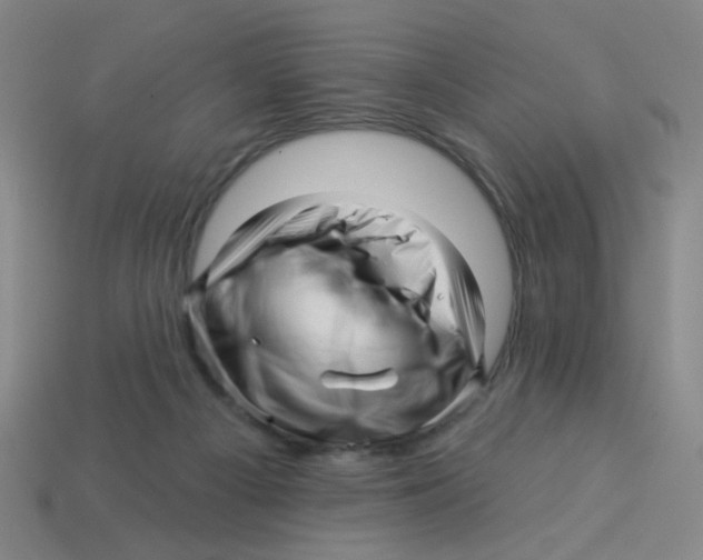 X0000113530121200910161358