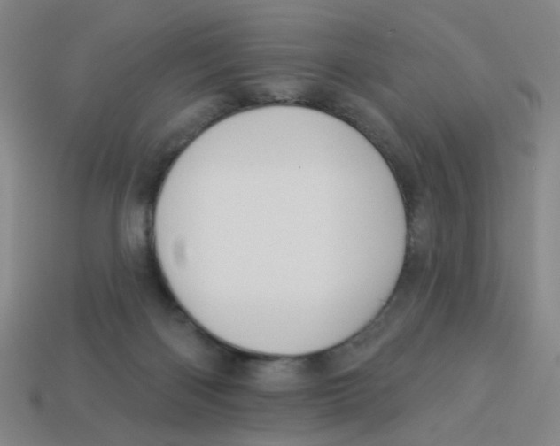 X0000113530122200910161358