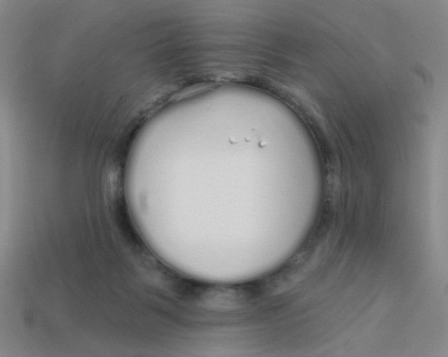 X0000113530123200910161358