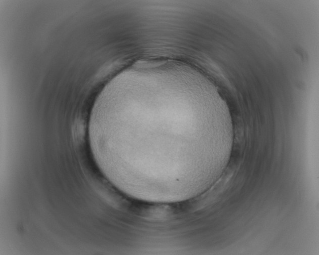 X0000113530124200910161358