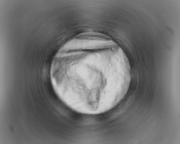 X0000113530127200910161358