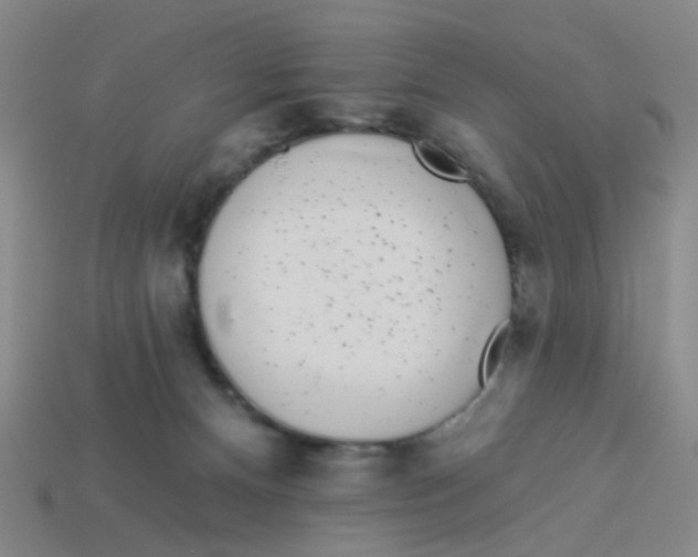 X0000113530128200910161358