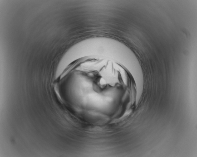 X0000113530129200910161358