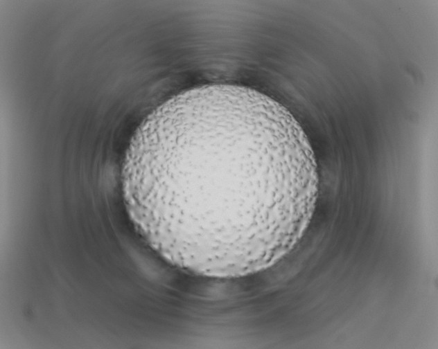 X0000113530130200910161358