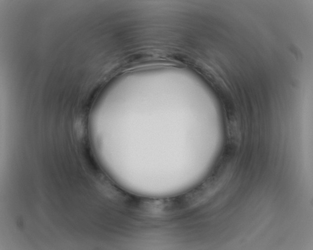 X0000113530131200910161358