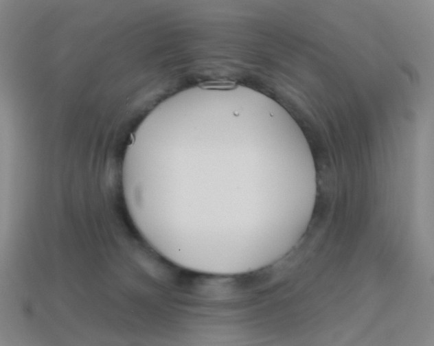 X0000113530132200910161358