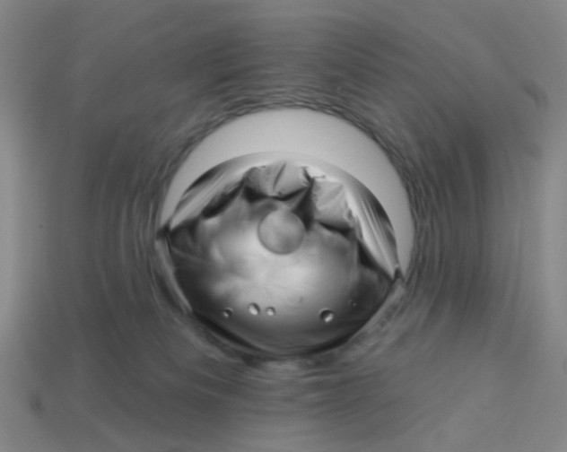 X0000113530133200910161358