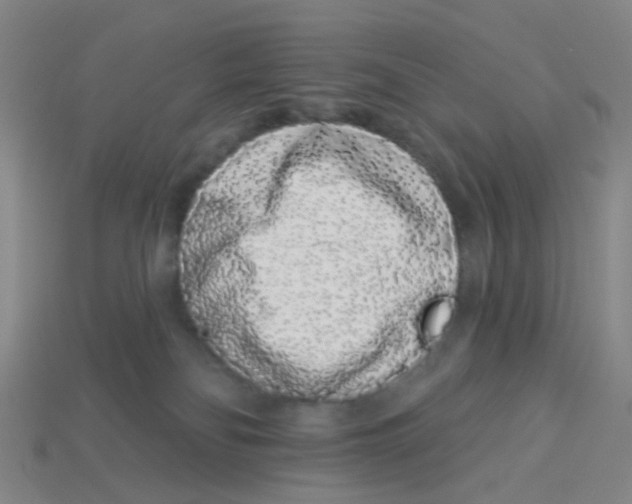 X0000113530134200910161358