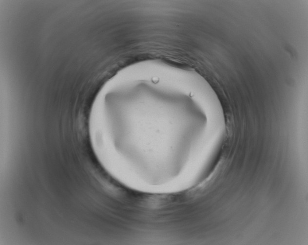 X0000113530136200910161358