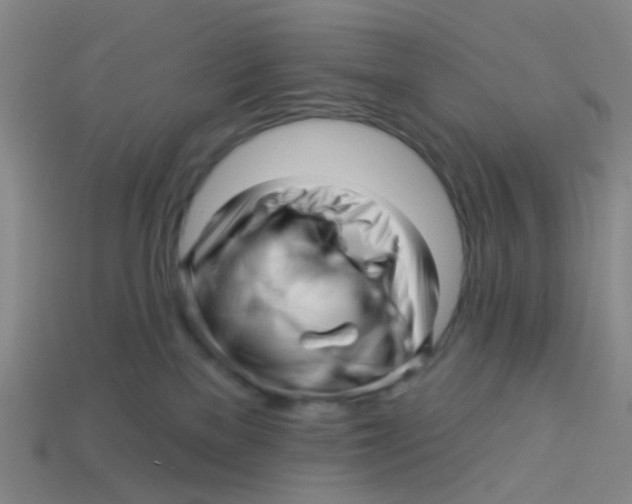 X0000113530137200910161358