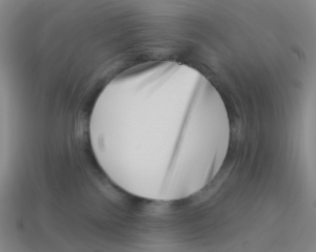 X0000113530138200910161358