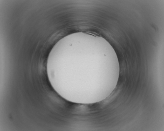 X0000113530140200910161358