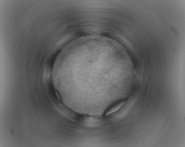 X0000113530141200910161358