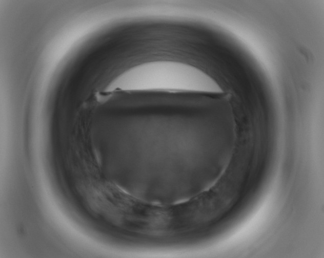 X0000113530143200910161358