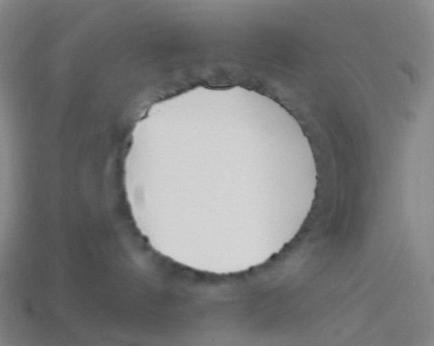 X0000113530144200910161358