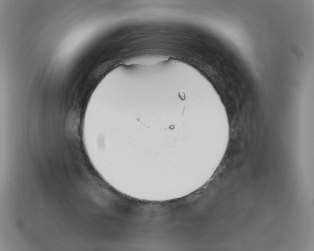 X0000113530146200910161357