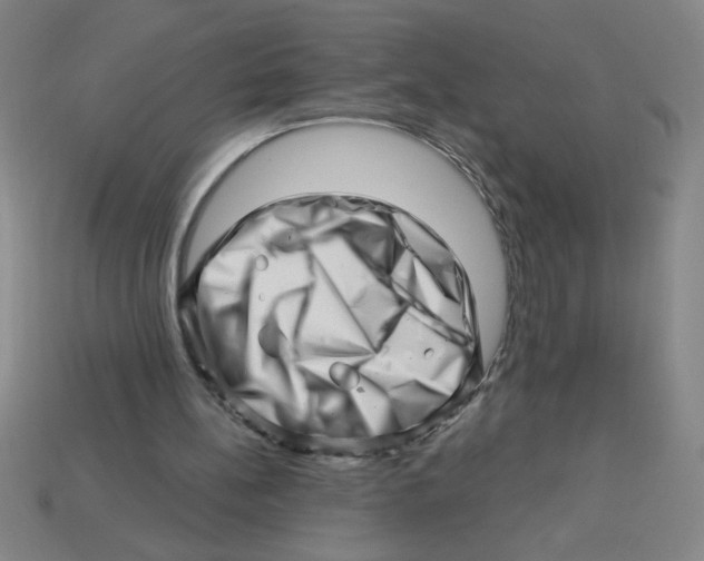 X0000113530148200910161357