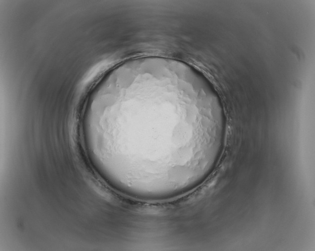 X0000113530149200910161357