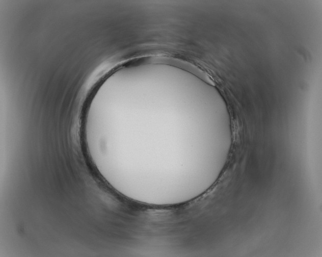 X0000113530150200910161357