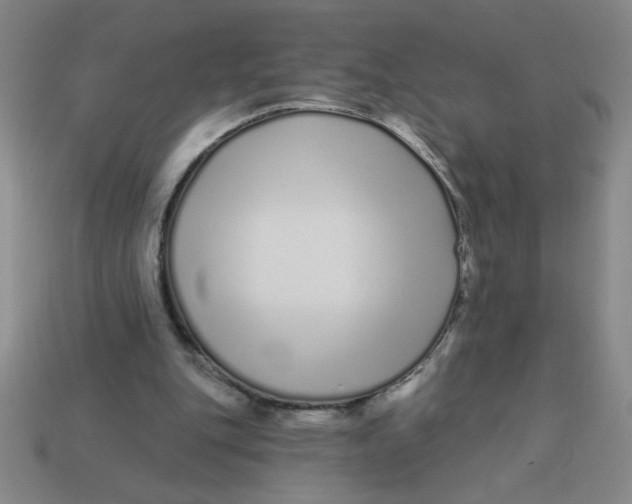 X0000113530151200910161357