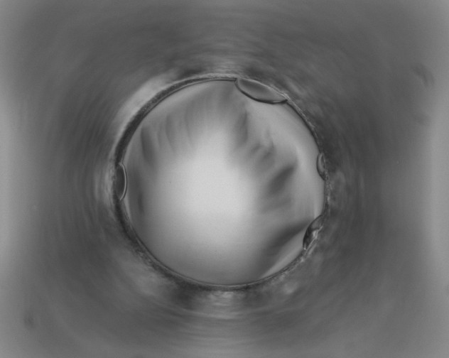 X0000113530152200910161357