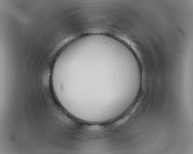 X0000113530153200910161357