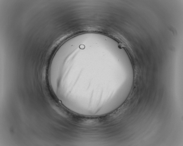 X0000113530155200910161357