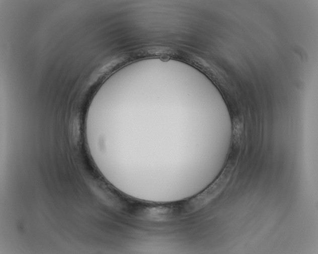 X0000113530158200910161357