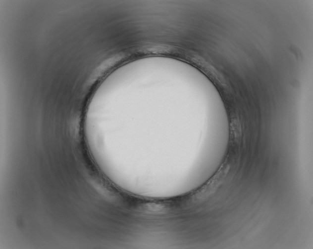 X0000113530159200910161357