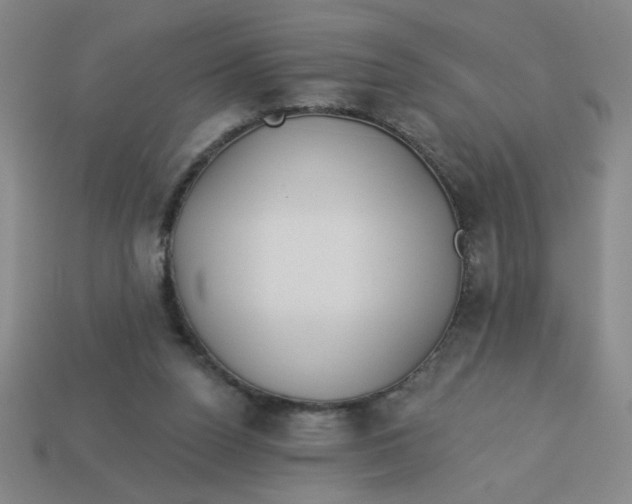 X0000113530160200910161357