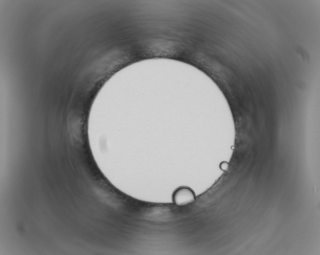 X0000113530162200910161357