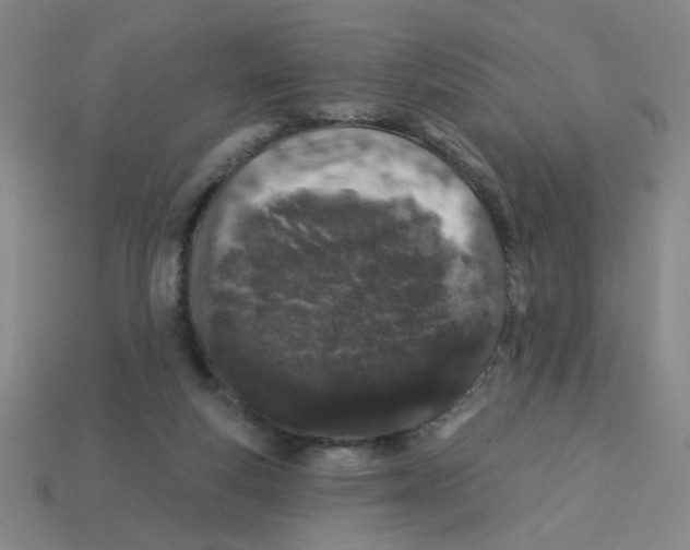 X0000113530163200910161357