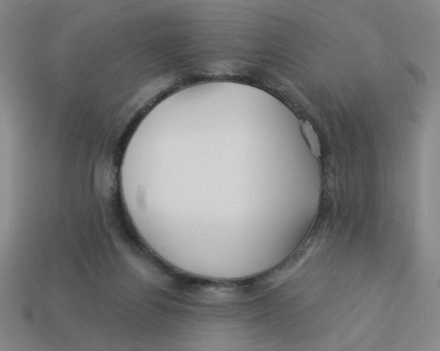 X0000113530164200910161357