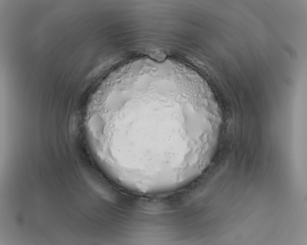 X0000113530165200910161357