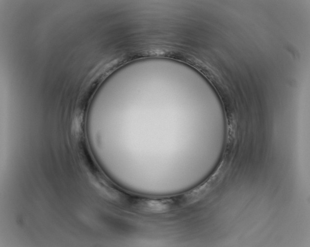 X0000113530166200910161357