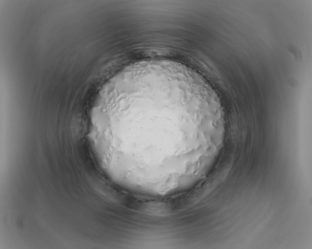 X0000113530169200910161357