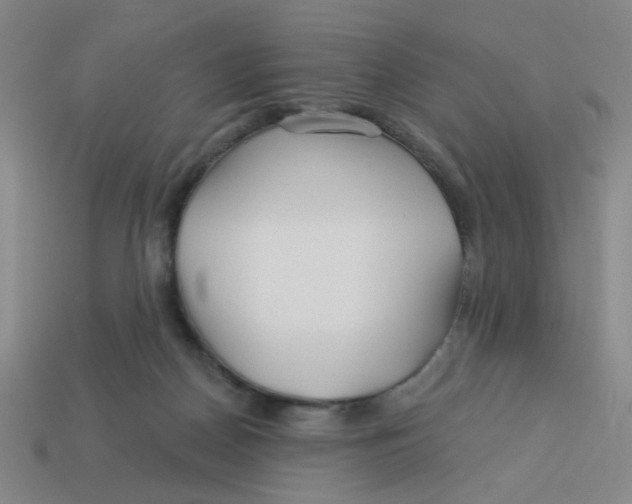 X0000113530170200910161357